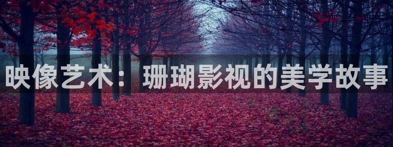 金桔 影視：映像藝術(shù)：珊瑚影視的美學(xué)故事
